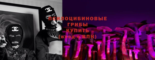 PSILOCYBIN Белоозёрский