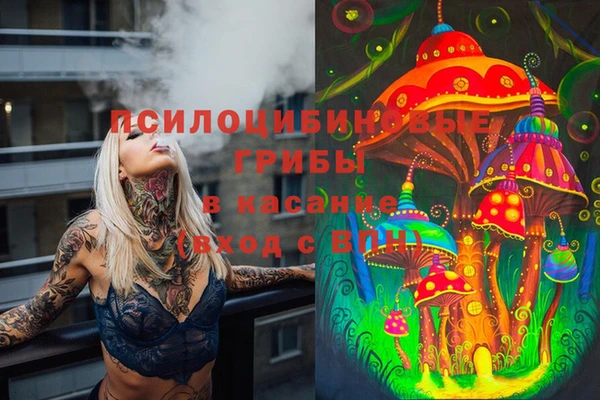 таблы Белокуриха