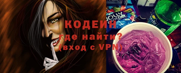 сатива Каменка