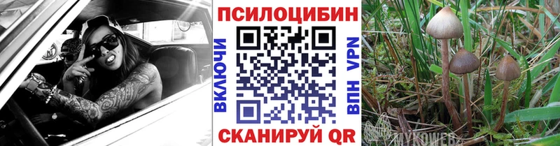 мега маркетплейс  Мариинский Посад  Галлюциногенные грибы мухоморы 